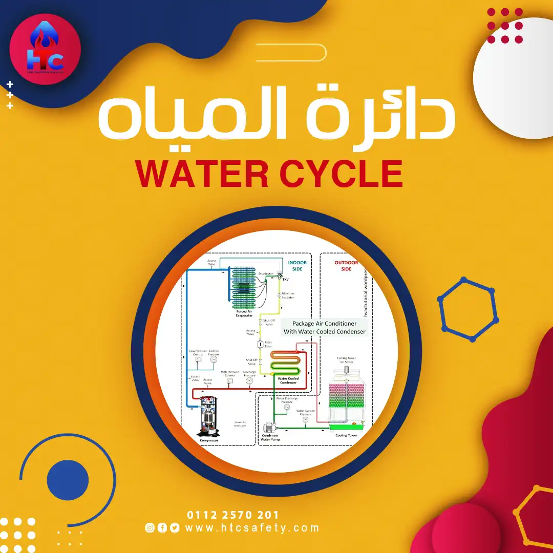 دائرة المياه WATER CYCLE